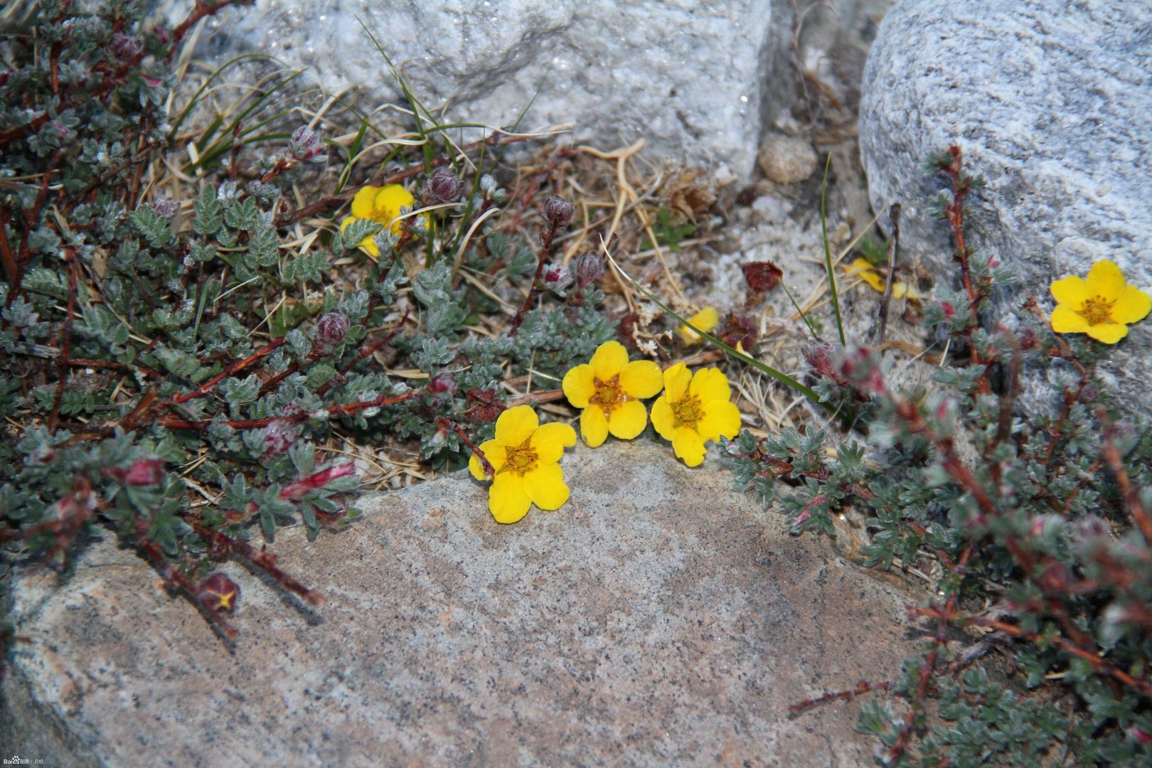  photo 5_zpsf262e95a.jpg