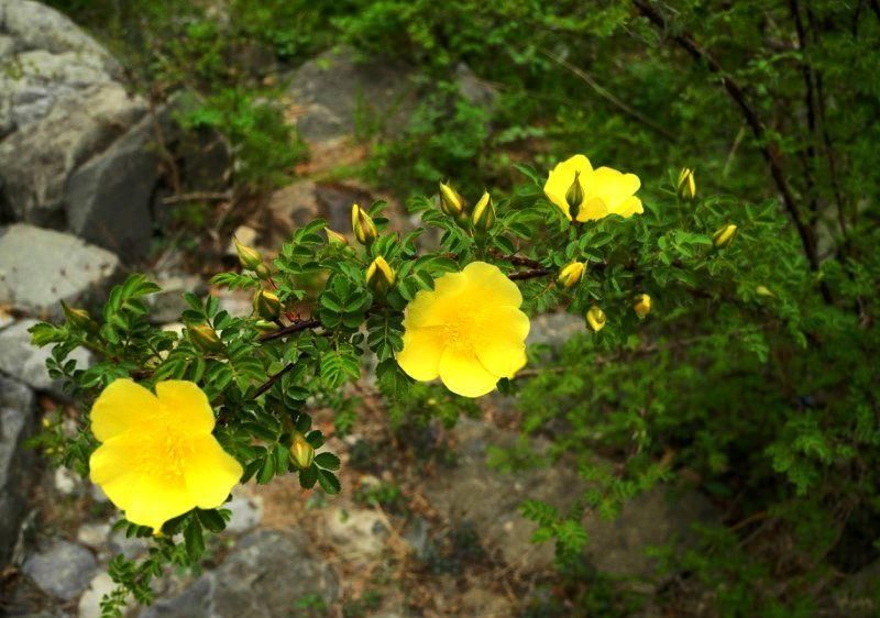  photo 5_zpsf71ce963.jpg