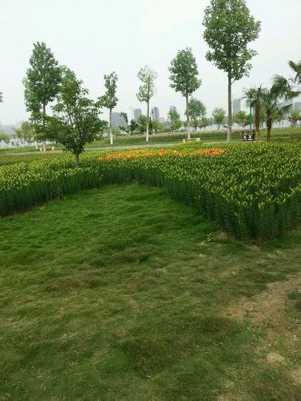  photo 6_zps5c50bac1.jpg