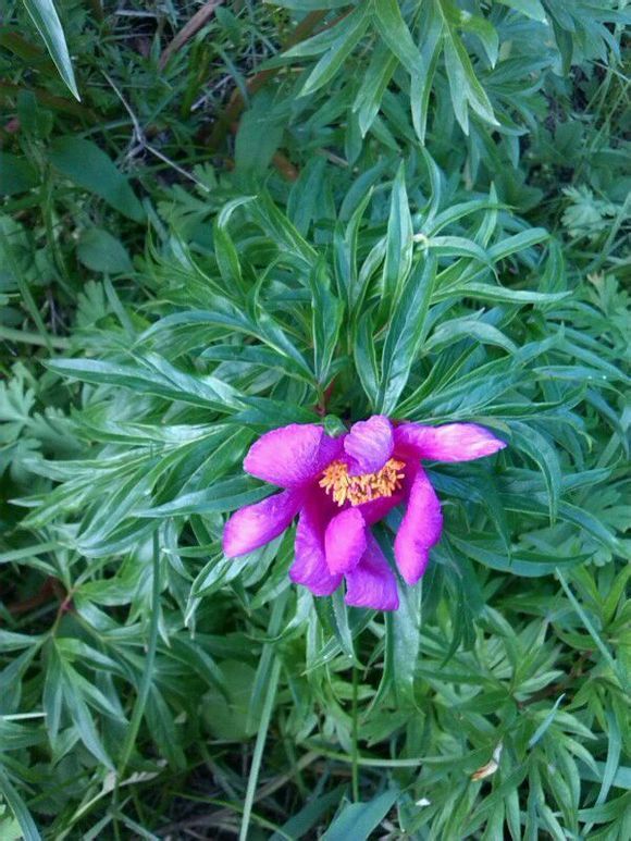  photo 6_zps95e8a68d.jpg