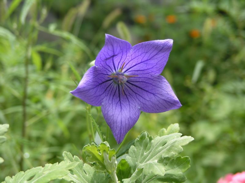  photo 6_zpsd0706c03.jpg