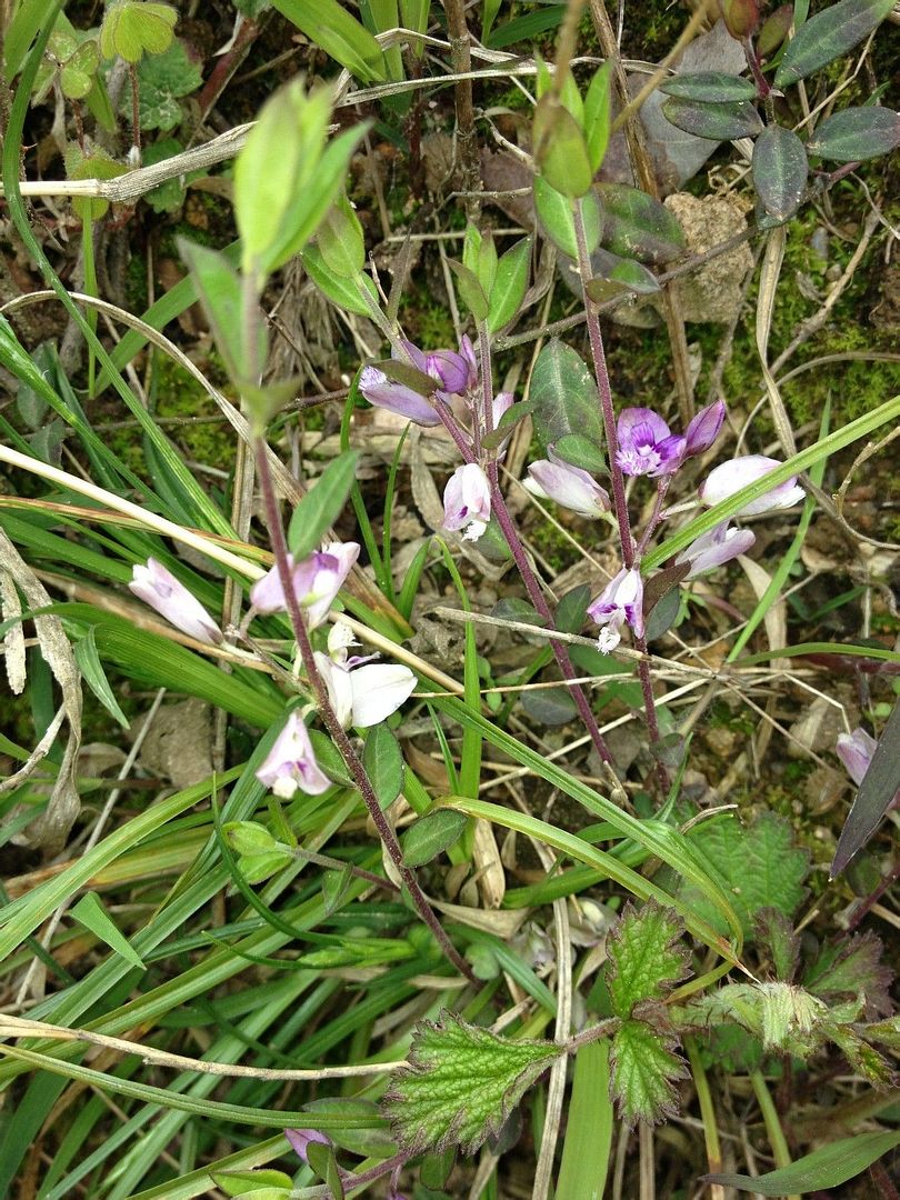  photo 6_zpsd0973763.jpg