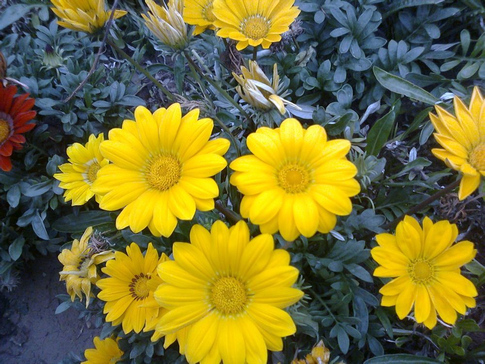  photo 6_zpsd68c087b.jpg