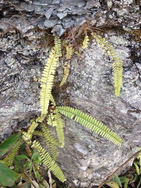  photo 76_zpse8f4925d.jpg