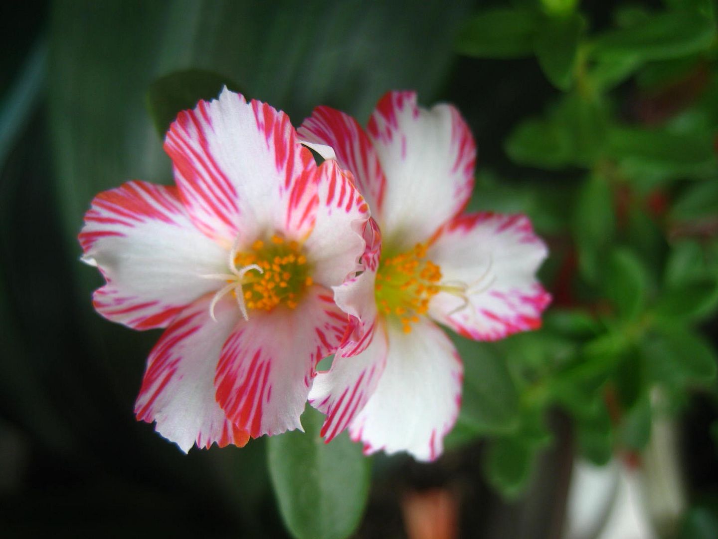  photo 7_zps214c43e1.jpg