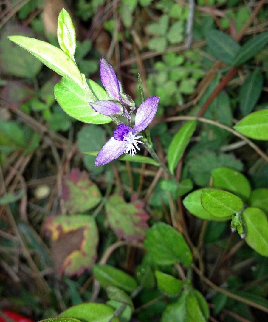  photo 7_zps21a6dbe2.jpg