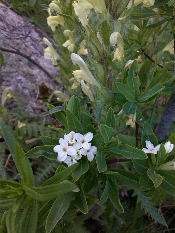  photo 7_zps370b6c12.jpg