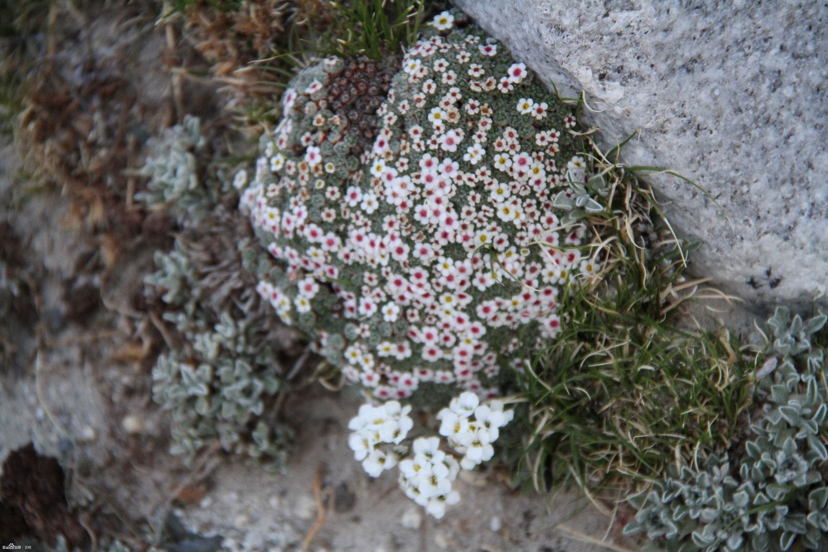  photo 7_zps8e6c8be2.jpg