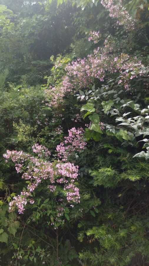  photo 7_zpsb7e545f9.jpg