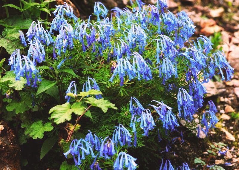  photo 7_zpsd4d20317.jpg