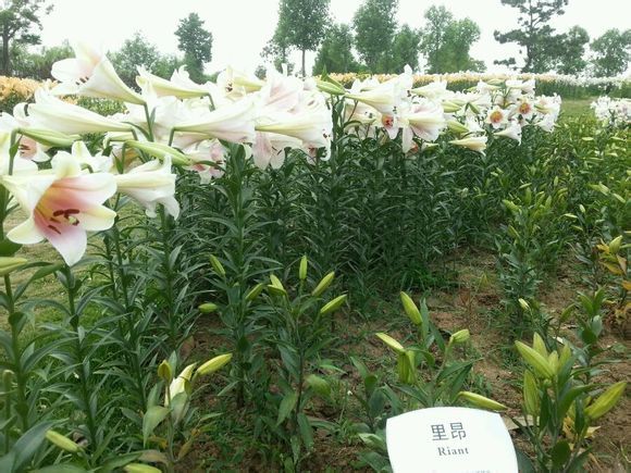  photo 7_zpsde88c053.jpg