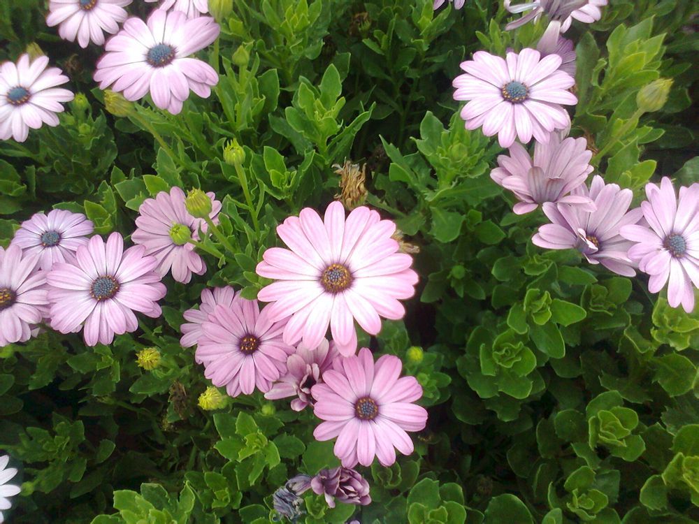  photo 7_zpse04a1768.jpg