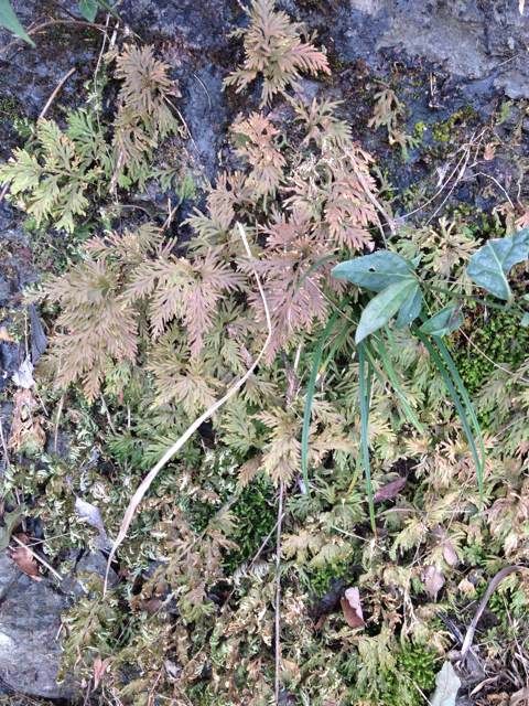  photo 7_zpse684cefe.jpg