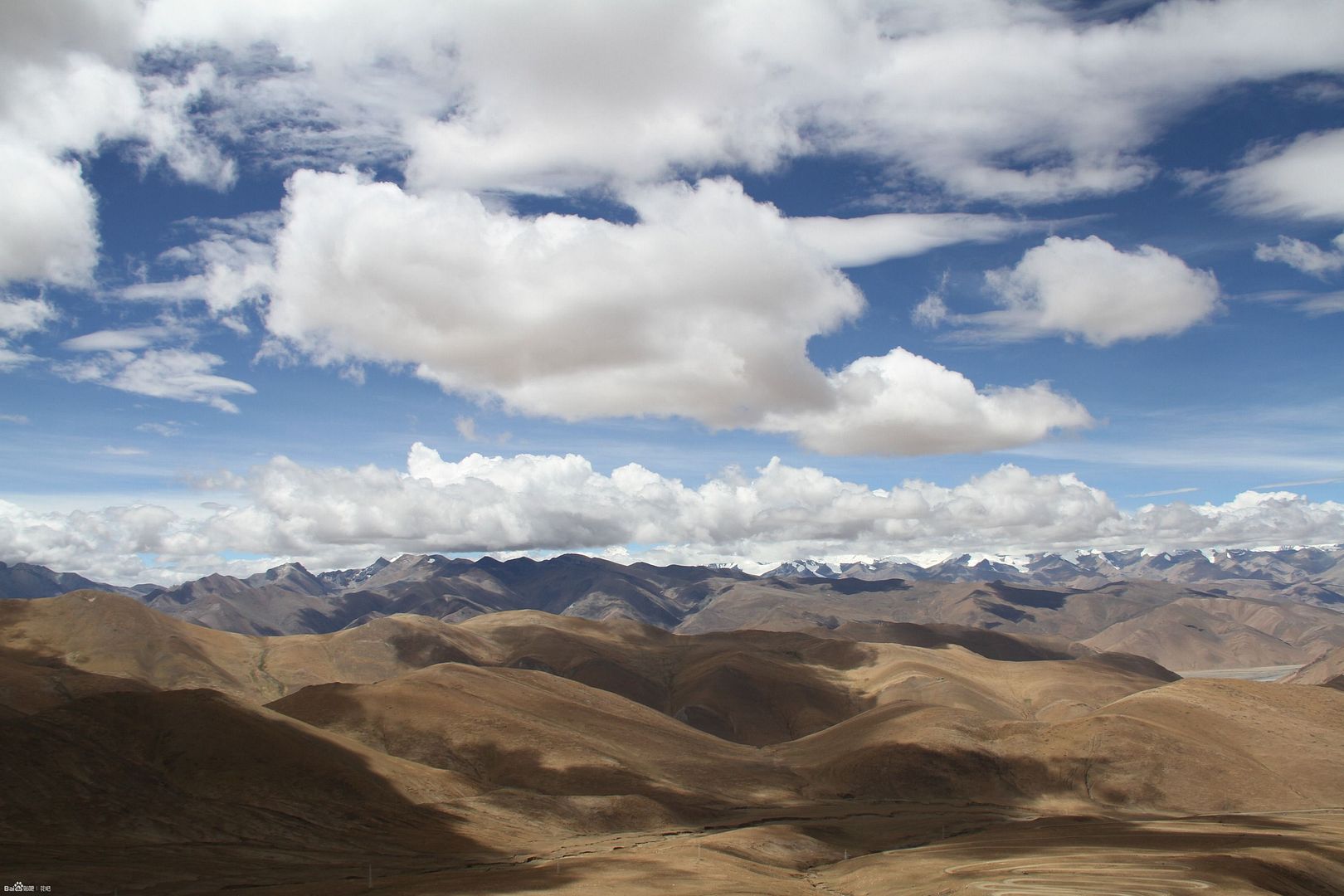  photo 8_zps228153d7.jpg