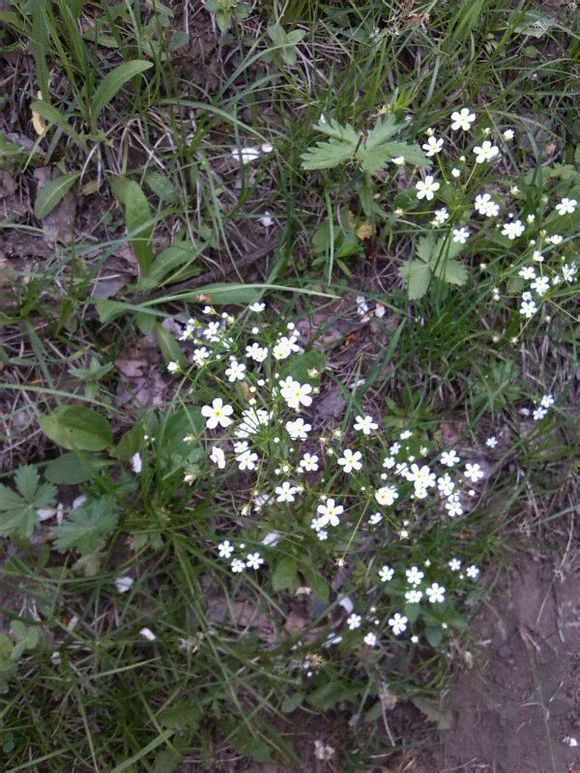  photo 8_zps2f1b2881.jpg