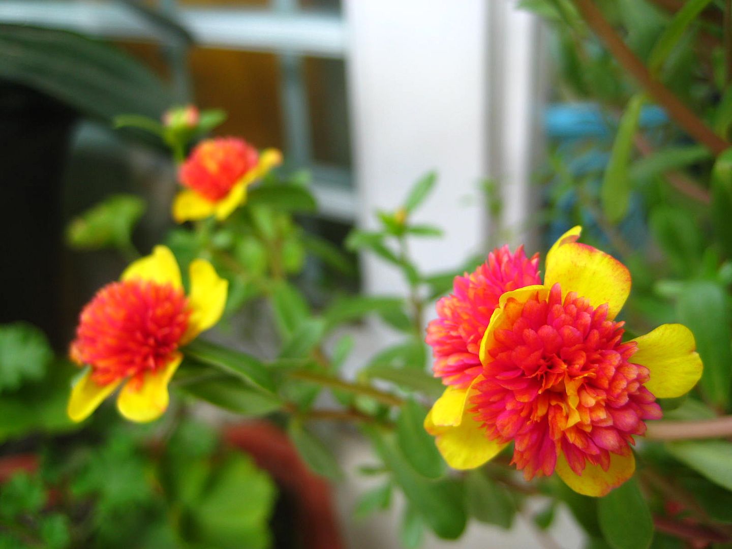  photo 8_zpscafcebb6.jpg