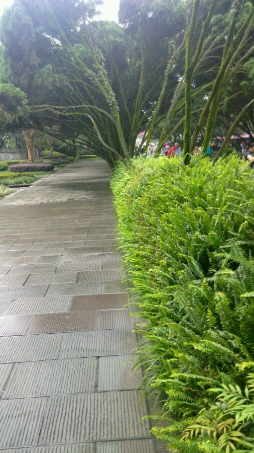  photo 8_zpsea0b30e7.jpg