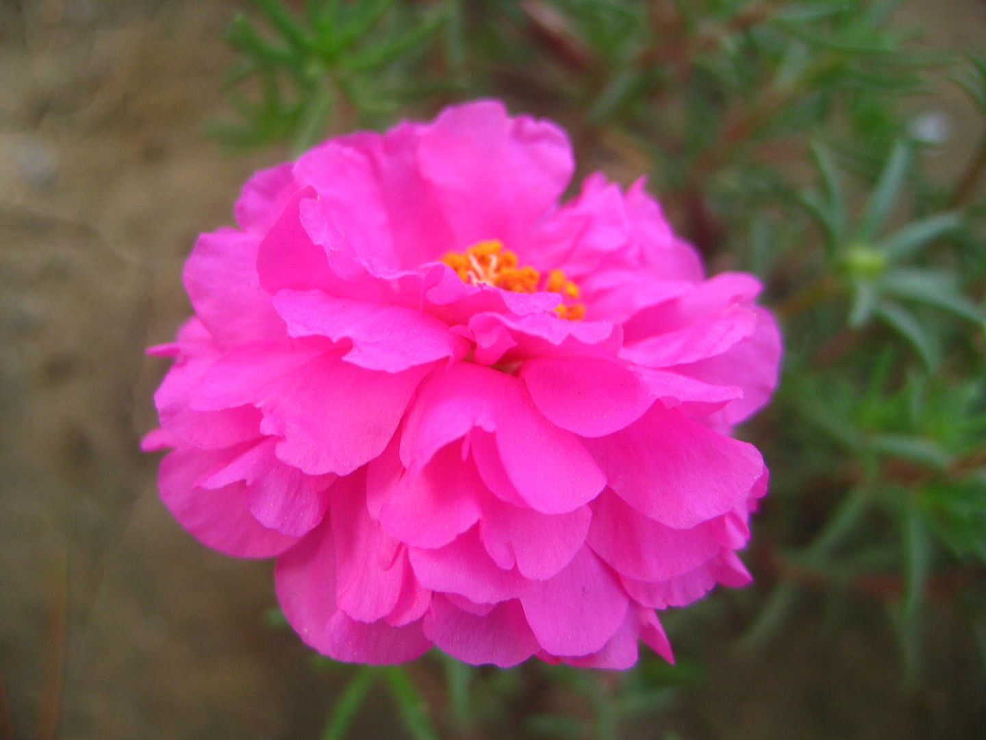  photo 9_zps5503762e.jpg