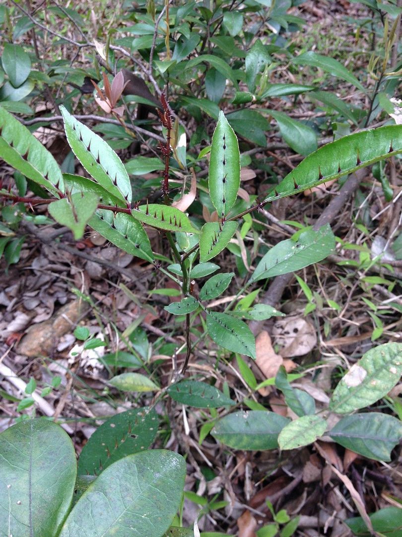  photo 9_zps736204d2.jpg