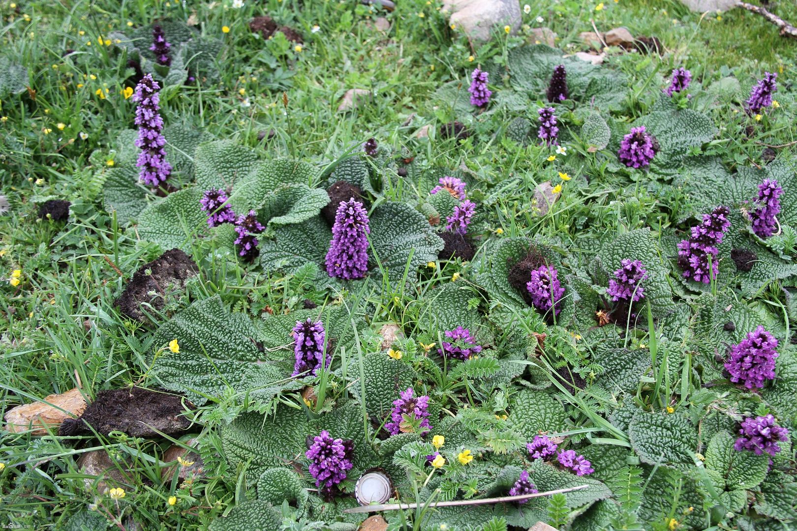  photo 9_zpsd0c82249.jpg