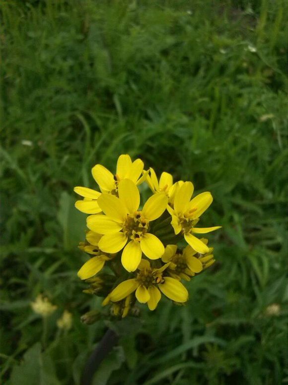  photo 9_zpse6324029.jpg