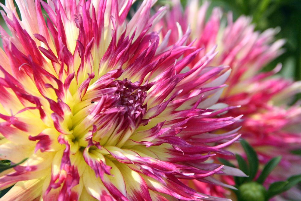  photo a6_zps46846cfa.jpg