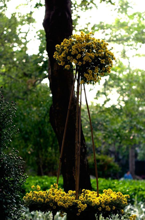  photo a8_zpse33b2801.jpg