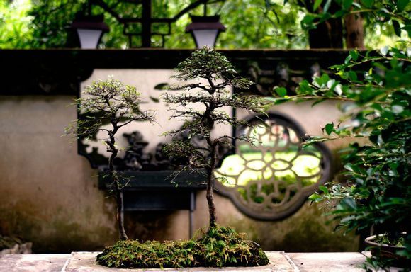  photo a9_zps81daa474.jpg