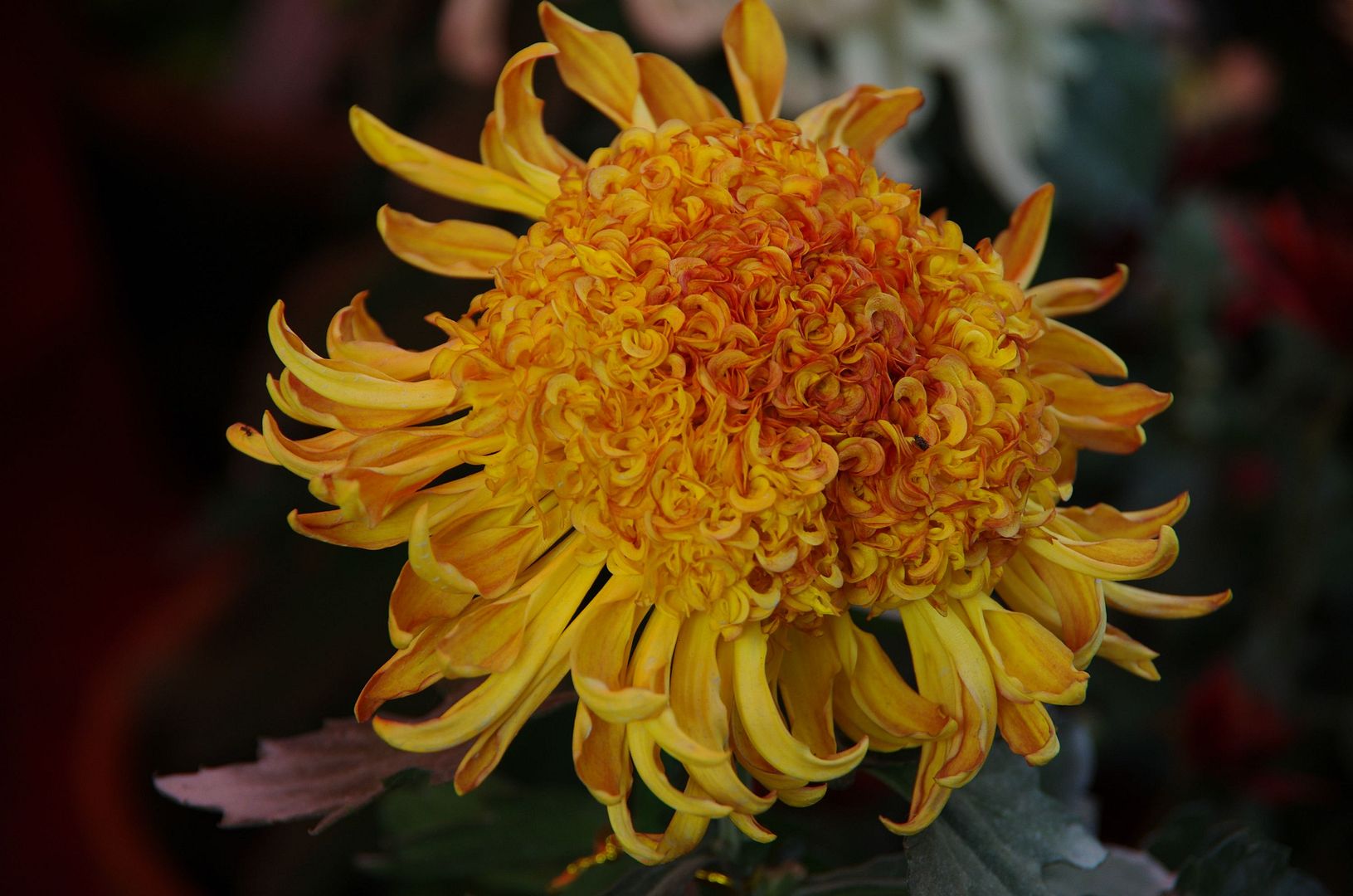  photo b20_zps5fca456d.jpg