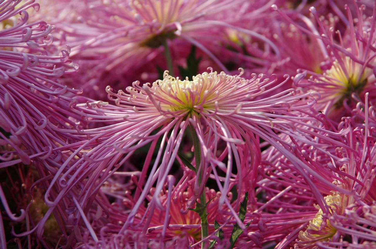  photo b25_zps4d37618f.jpg