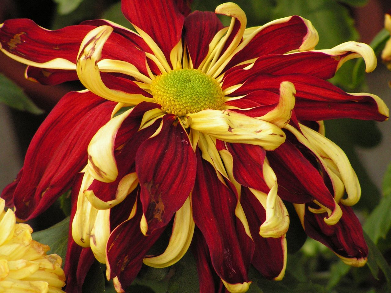  photo b26_zpsb14b5c66.jpg