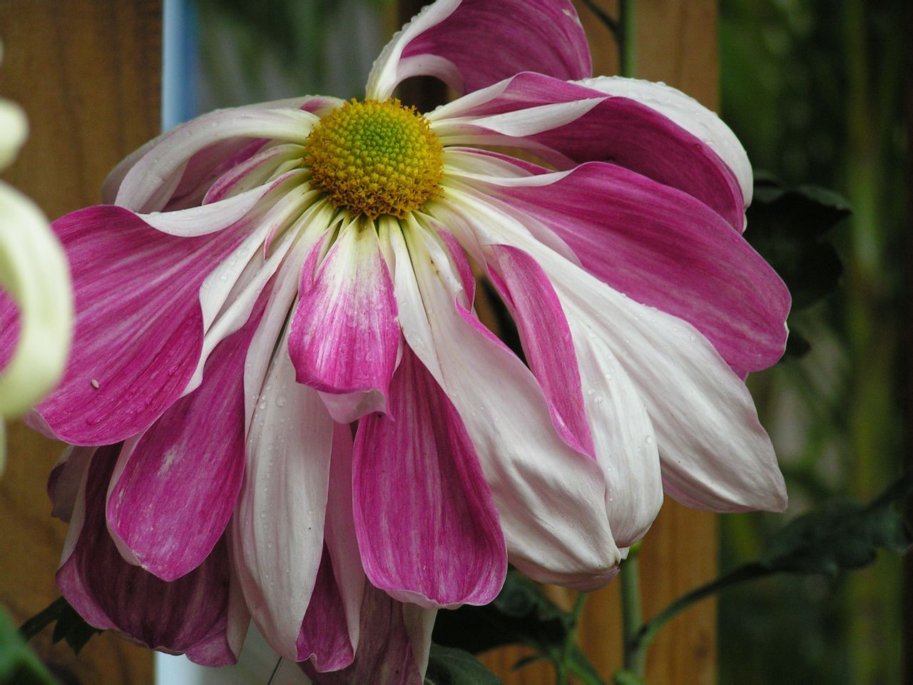  photo b27_zps466104d8.jpg