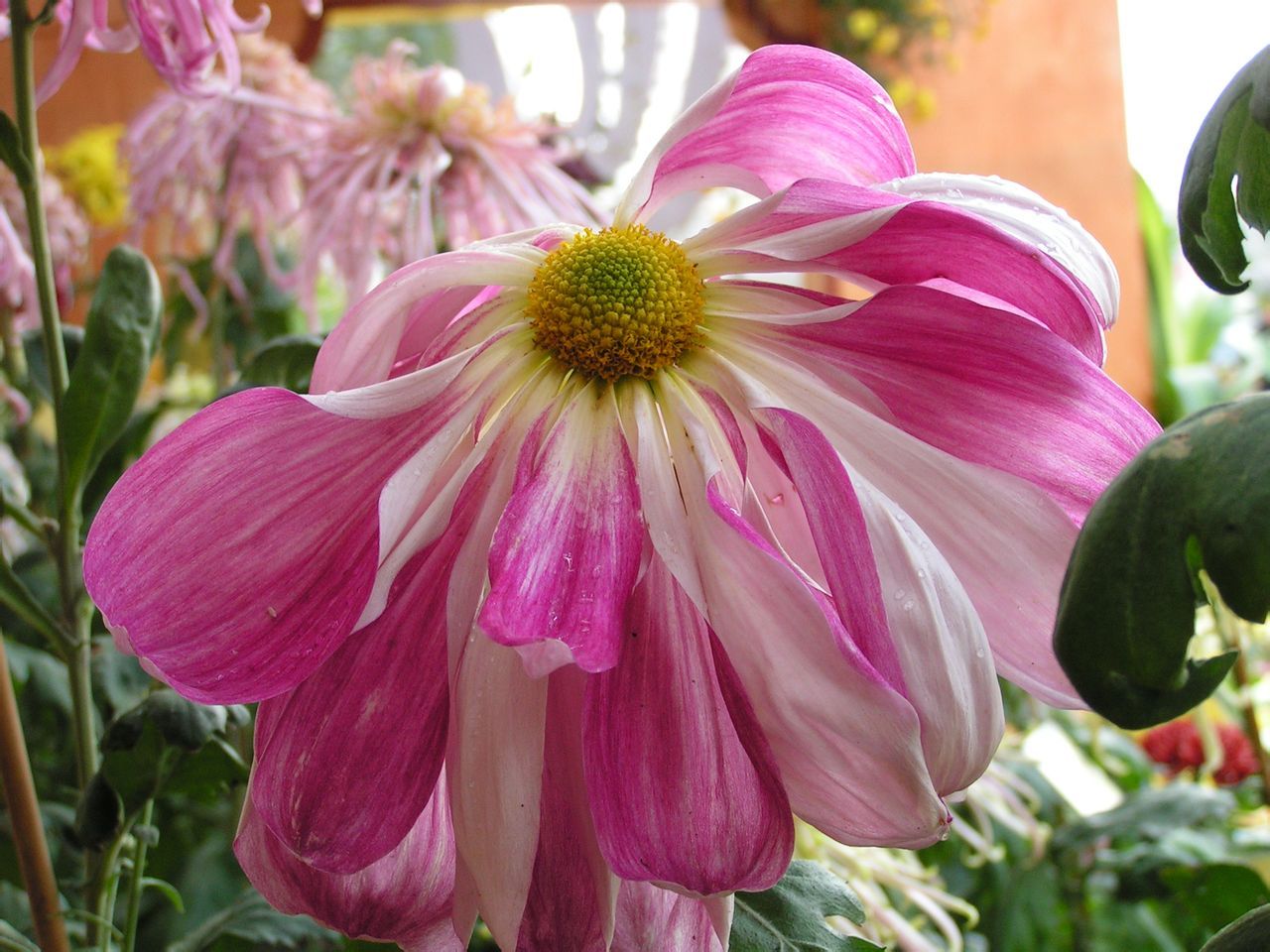  photo b28_zps5515019d.jpg