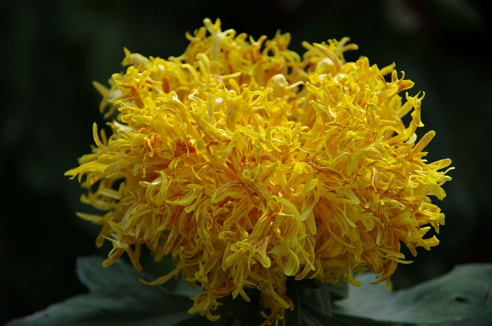  photo b30_zpsc0e8d7fe.jpg