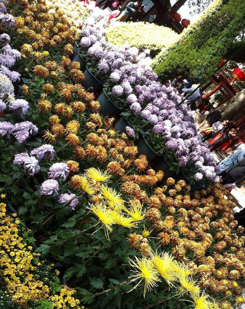  photo b3_zpsc9d9c07b.jpg