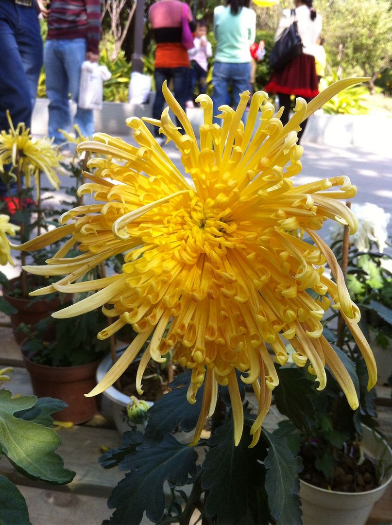  photo b6_zps6fc76964.jpg