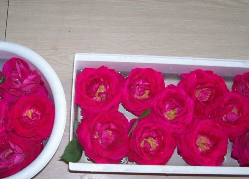  photo springroses007s_zpsca62c58e.jpg