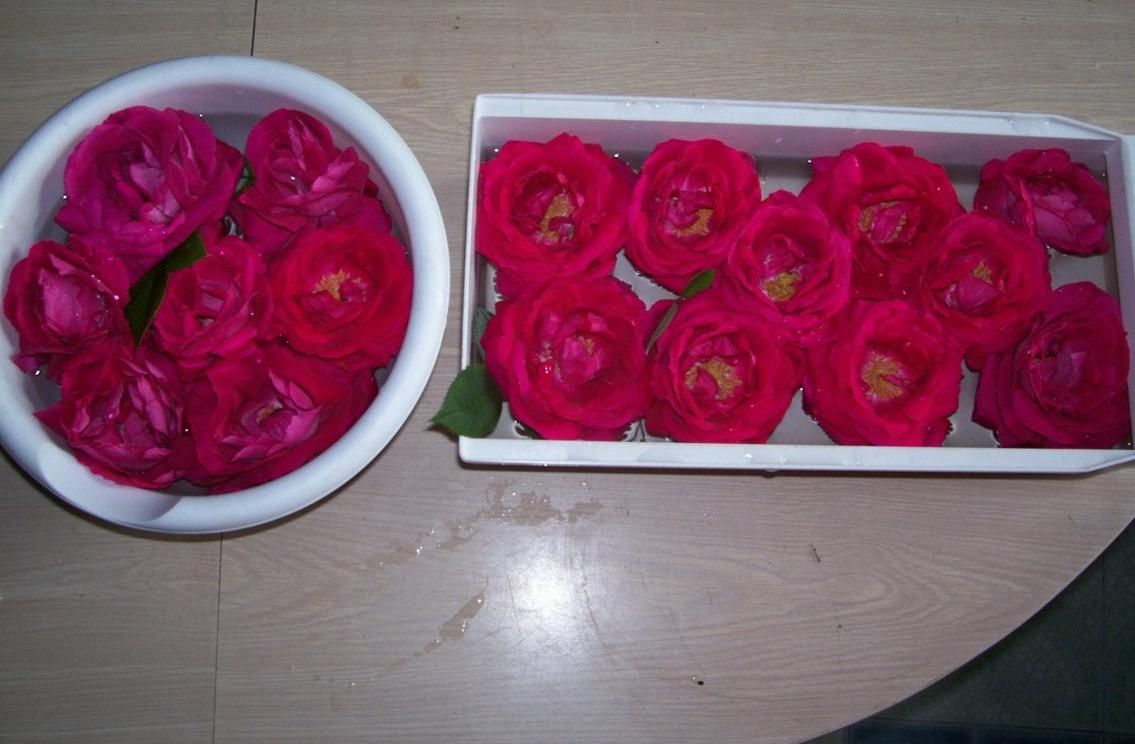  photo springroses035_zpsf7fe9dc0.jpg