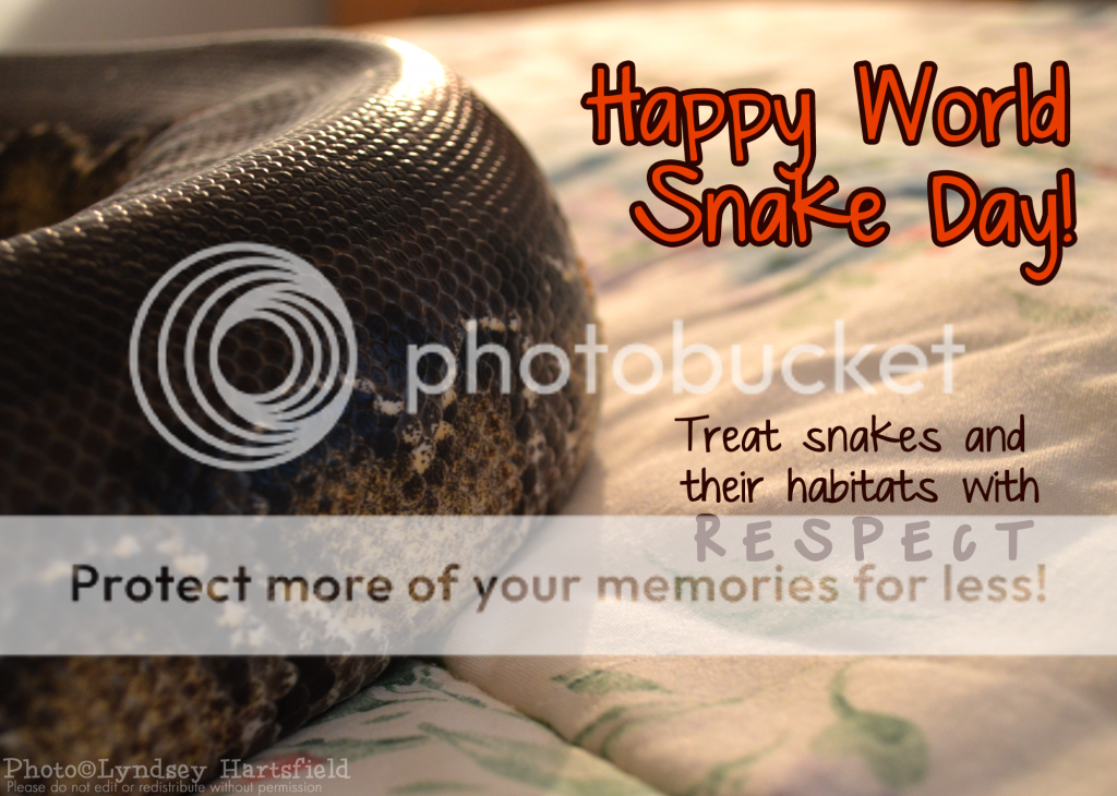https://i1288.photobucket.com/albums/b498/kookootegu/BPNet%20Pics/Angela/worldsnakeday_zpsfbe4ade8.png